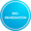 BIOREMEDIATION